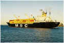 msc_paola_1978_02.jpg (151793 byte)